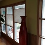 TDBU Cellular Shades