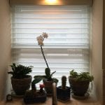 Silhouette Window Shadings installed by Columbia Blinds and Shutters in Columbia Missouri